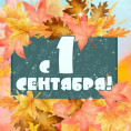 С Днём знаний, с 1 сентября!🔔