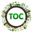 Территориальное общественное самоуправление (ТОС)